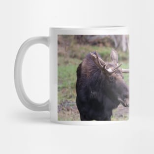 Large moose in a forest Mug